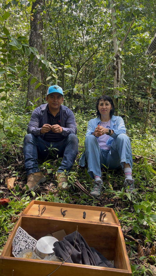 Las Vainillas de la Chinantla